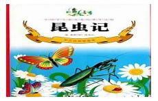 昆虫记32种昆虫档案
